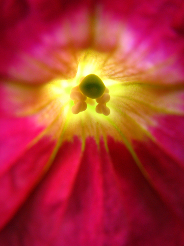 Birth