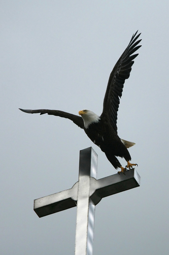 Leap of Faith