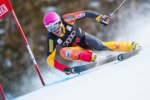 Downhill World Cup Racer 
