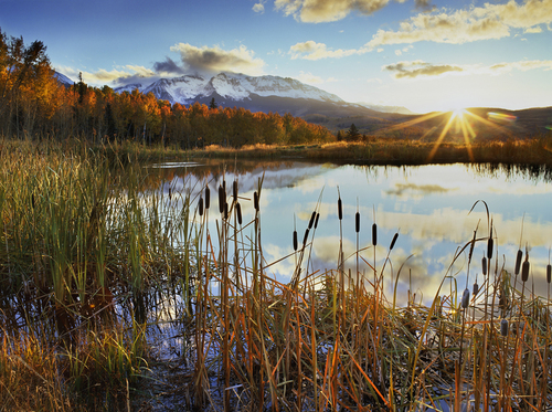 Beaver Pond Fall