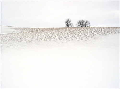 Winter Colours
