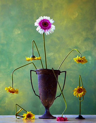 Daisies Loving Cup