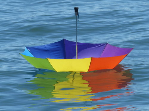 Argobrella