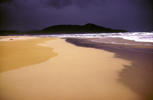 Prion Bay, Southwest Tasmania