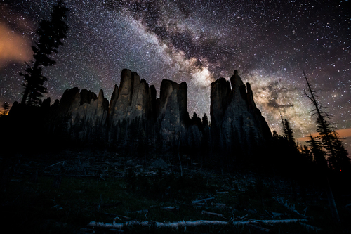 Black Hills Gold