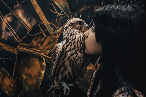 Falcon Girl