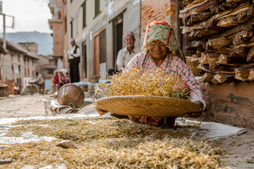 Rural Life