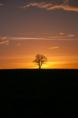 Tranquility
