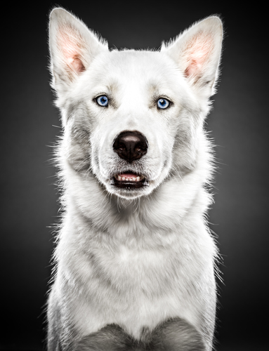 Azzurro