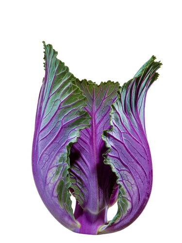 Kale