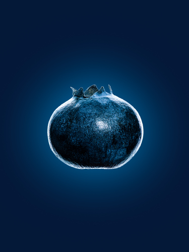 Blueberry
