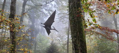 Pterodactyle