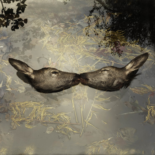 Untitled (10)