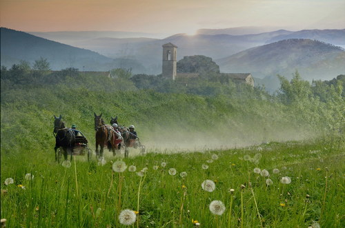Good Morning Tuscany