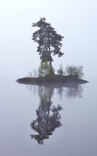 The Island