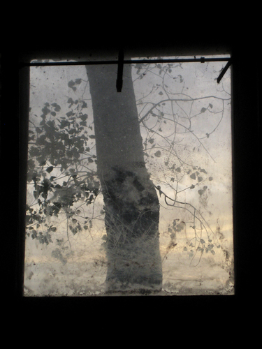 autumn mood