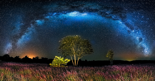 Galactic Grass