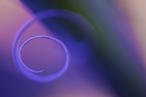 Swirl