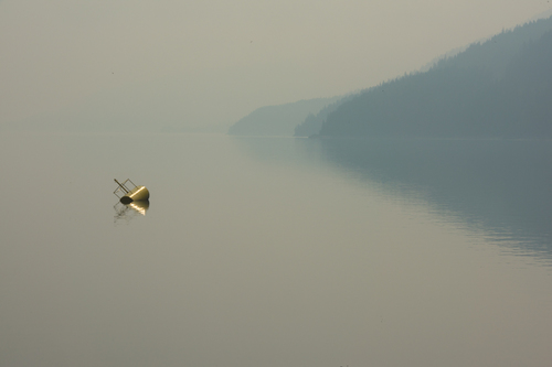 Yellow Submarine