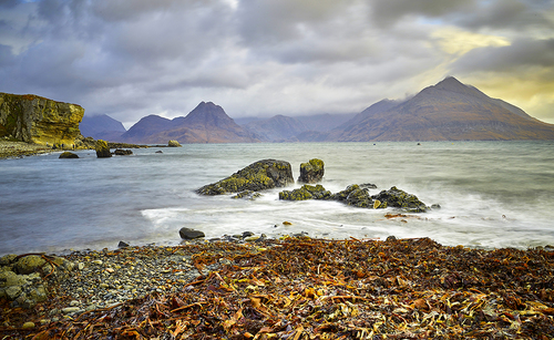 The Shore