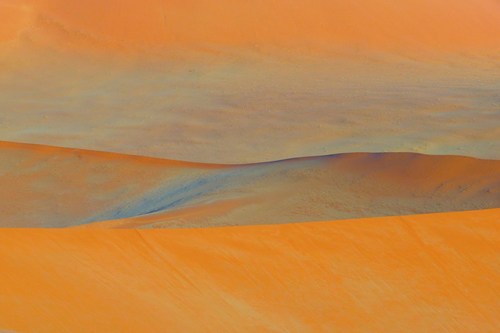 Dunescape in Morning Light