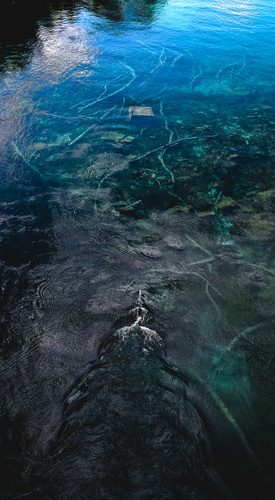 Sunken Treasure