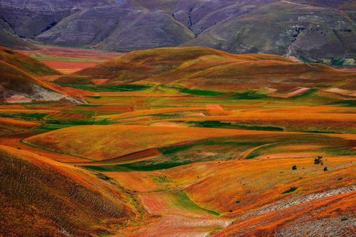 Castelluccio Colors