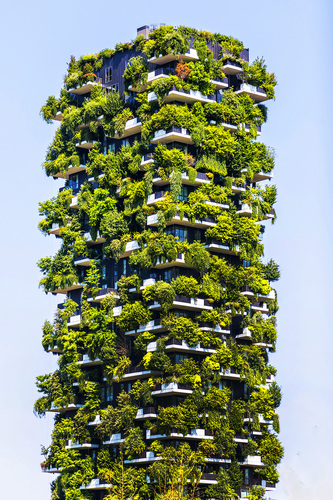 Vertical Wood