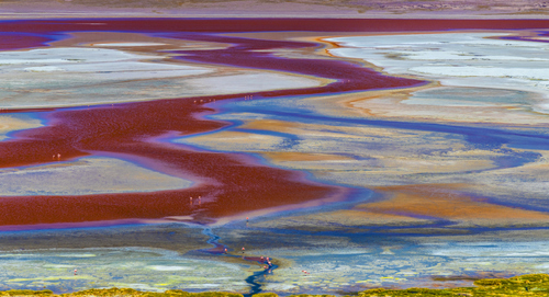 Laguna Colorada