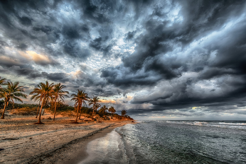 Beach at dawn