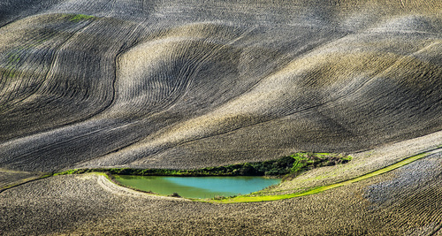 Crete Senesi #1