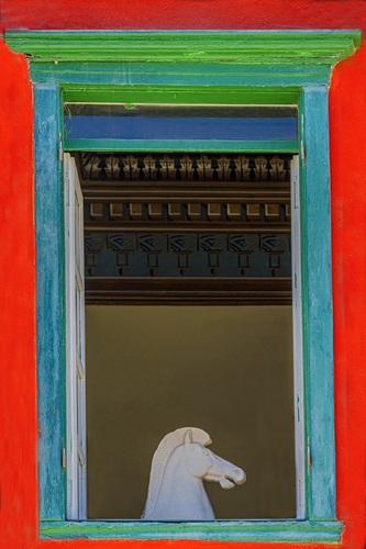 Horse at the window
