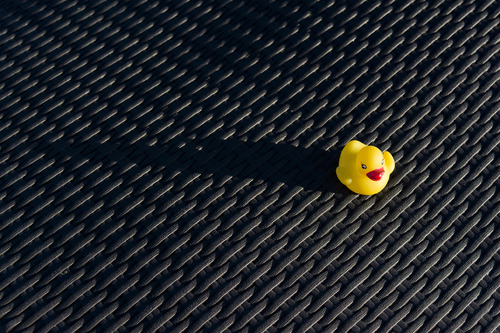 My Yellow Duck 01
