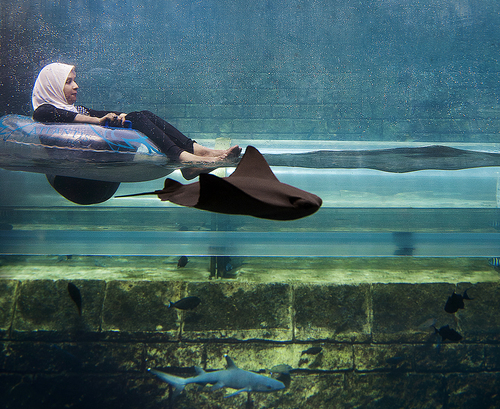 Aqua Carpet Ride
