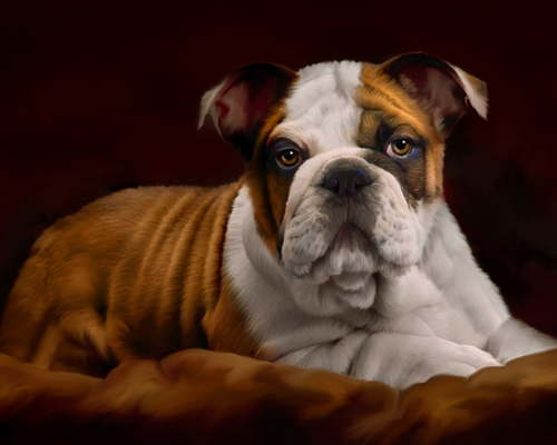 THE ROYAL PUPPY