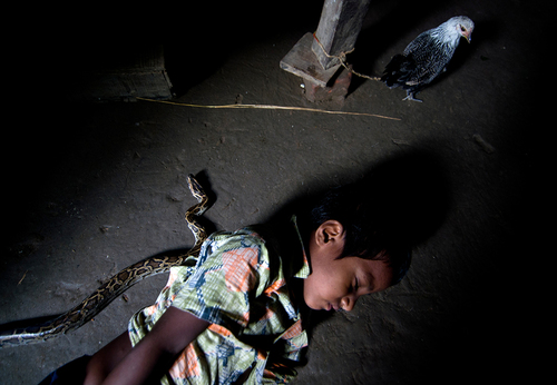 Inside Snake Charmer Home