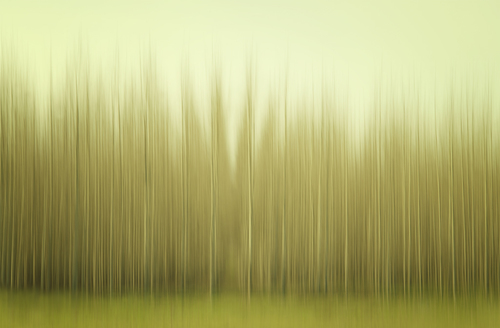 Sequence