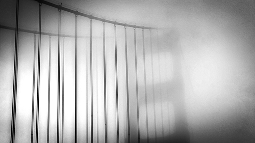 Golden Gate Fog