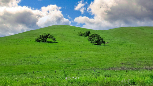 Califonia Hills