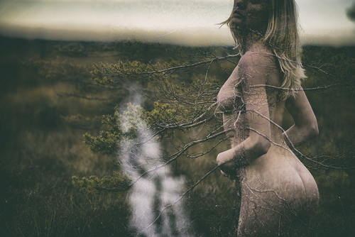 Daughter of Nature V