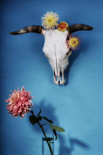 Skull with Flowers
