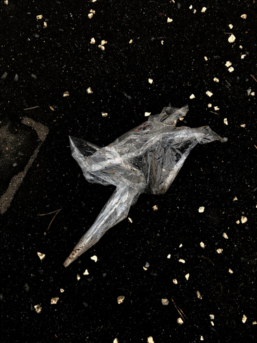 Plastic Bird - Series space