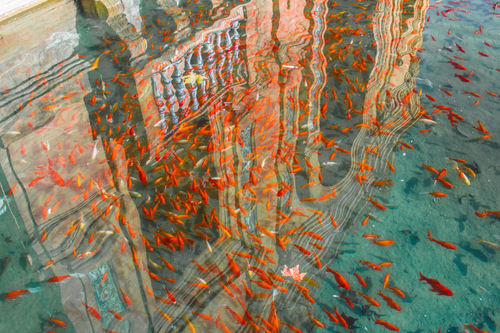 Reflection