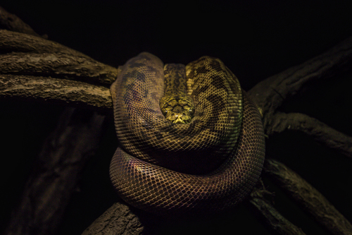 Thousand Yard Stare