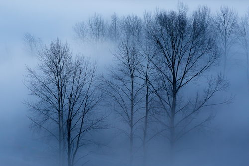 Fog under the Bridge
