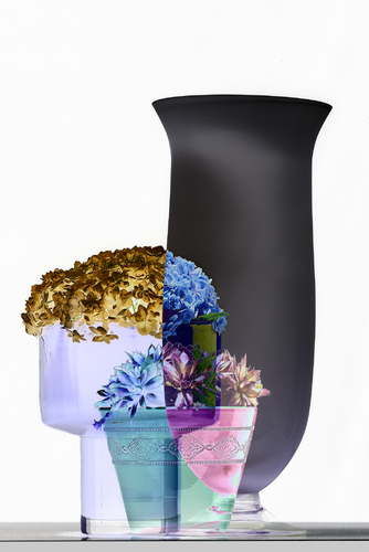 Graphic Flowers
