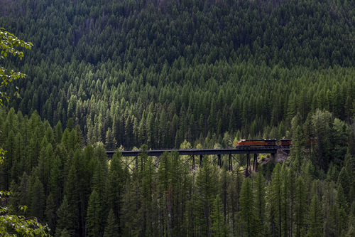 Train Ride