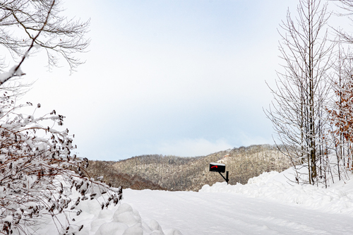 First Snow 2