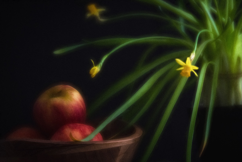 Apples to Daffodils
