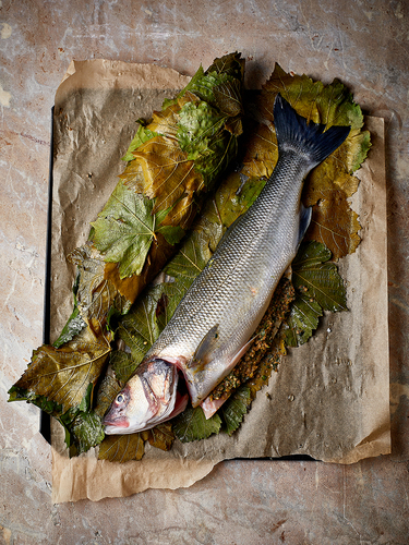 Seabass